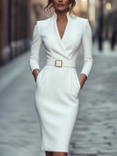 Elegant Black Sheath Dress with Belt and Mandarin Collar