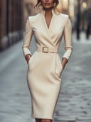 Elegant Black Sheath Dress with Belt and Mandarin Collar