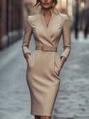 Elegant Black Sheath Dress with Belt and Mandarin Collar