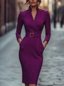 Elegant Black Sheath Dress with Belt and Mandarin Collar